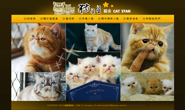 2015 貓星星貓舍-橘子軟件網頁設計案例圖片